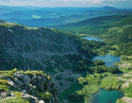 A global brand born in the Siberian taiga